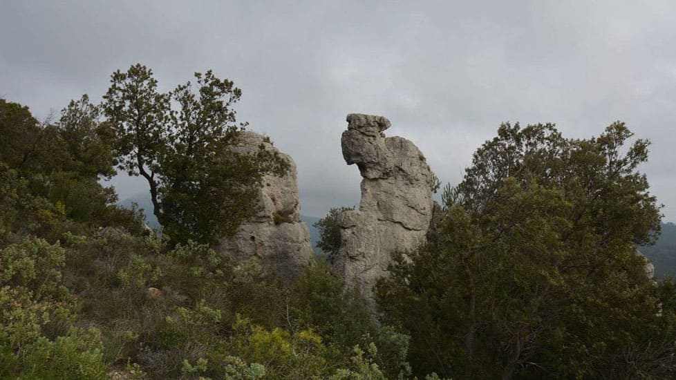 Montagne de la Loube