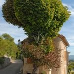 la Nesque