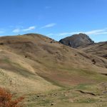 cloches-de-barles