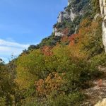 grottes-font-scure
