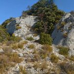 vires-des-rochers-des-cairas