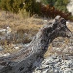 vires-des-rochers-des-cairas