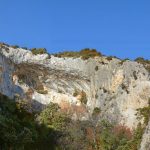 Forêt des Cèdres