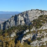 Forêt des Cèdres