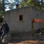 Forêt des Cèdres