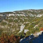 Forêt des Cèdres