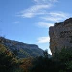Forêt des Cèdres