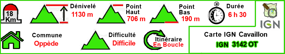 Forêt des Cèdres