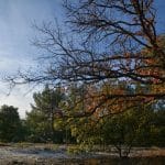 hors-sentier