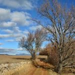 Autour de Boulinette