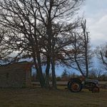 Mourre Nègre