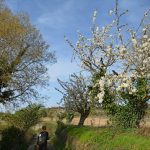 Buoux