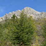 La Vigerie