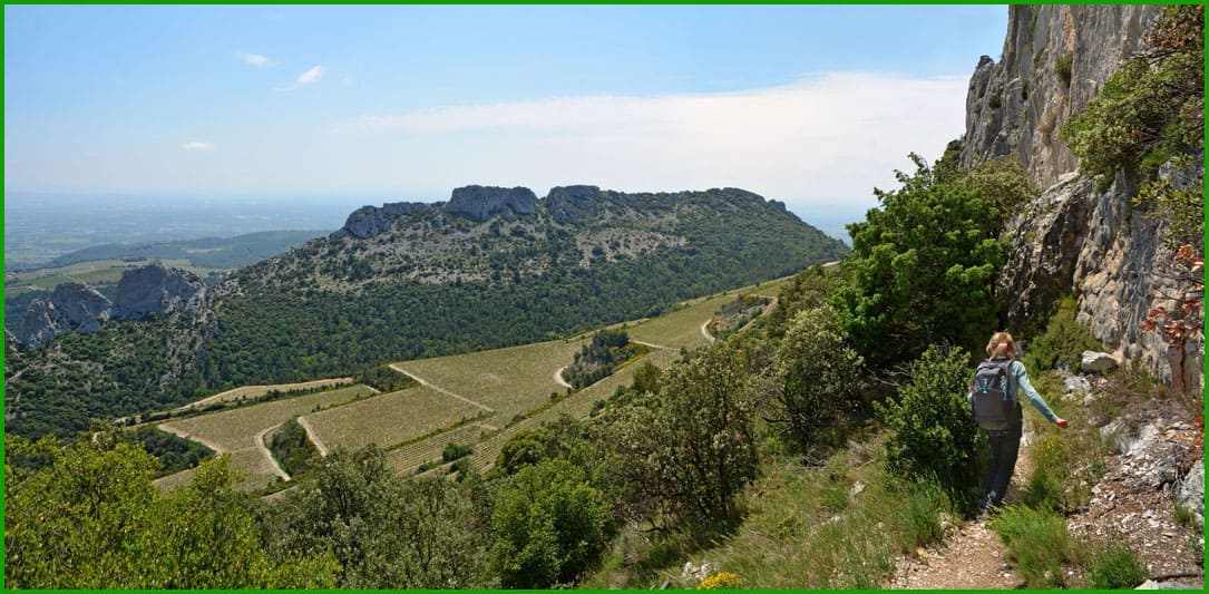 Dentelles de Montmirail