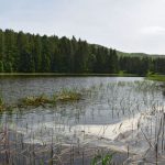 Lac d'Esparron