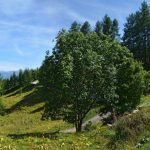 descente vers Pièce Ronde