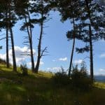 Col de Mariaud