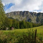 Vallon du Riou de l'Auragnier