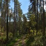 Les Gorges du Riou