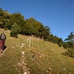 Haut Plateau du Vercors