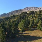 Haut Plateau du Vercors