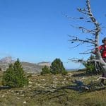 Haut Plateau du Vercors