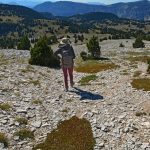 Haut Plateau du Vercors