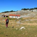 Haut Plateau du Vercors