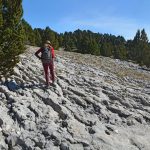 Haut Plateau du Vercors