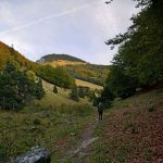 Haut Plateau du Vercors
