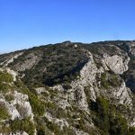 Taillades