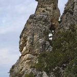 Taillades