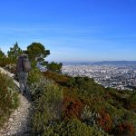 Marseilleveyre