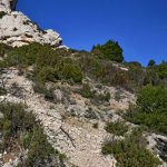 Marseilleveyre
