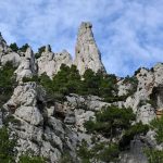 Marseilleveyre