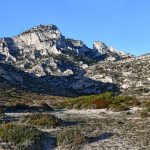 Marseilleveyre