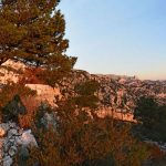 Marseilleveyre