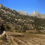 Grand Montmirail