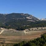 Grand Montmirail