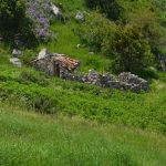 Ruine de Bergerie