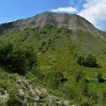 Le Puy