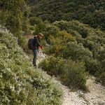 Rochers de Guinchon