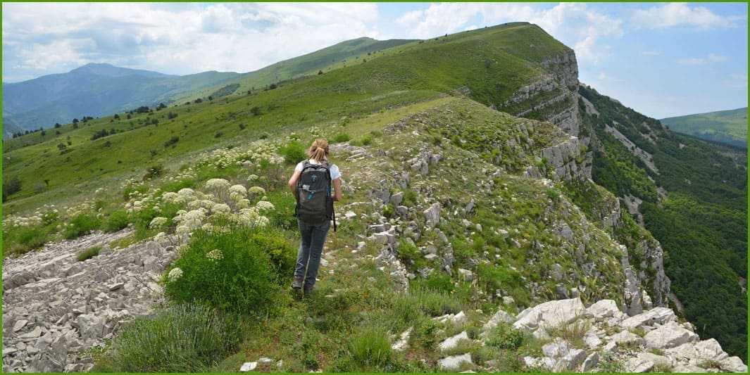 la Montagne de Jouère