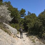 Combe de Sautadou