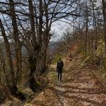 Descente vers Villelongue