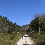 Combe de Recaute
