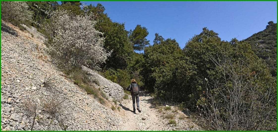 Lourmarin