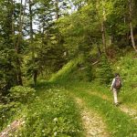 Tour du Roc de Garnesier