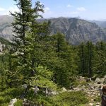 Montagne de Michard