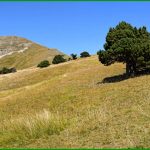 Le Mont Barral